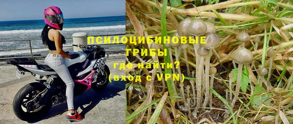 индика Балабаново