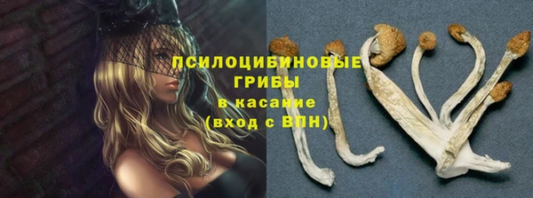 индика Балабаново